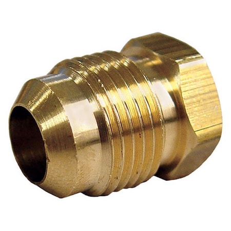 Homeplus+ ATC 1/4 in. Flare Brass Hex Plug 6JC050810721020